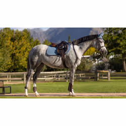 Tapis de selle pour cheval en suède LeMieux Close Contact