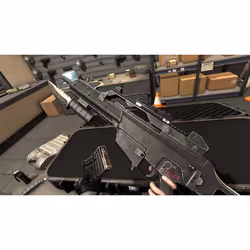 Perp Gun Club VR Standard PlayStation 4