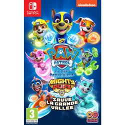 Outright Games Pat’ Patrouille : La Super Patrouille Sauve la Grande Vallée Standard Allemand, Anglais, Espagnol, Français, Italien Nintendo Switch