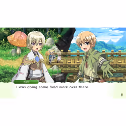 Marvelous Rune Factory 4 Special Standard Nintendo Switch - Vue supplémentaire 11