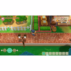 Marvelous STORY OF SEASONS: Friends of Mineral Town Standard Nintendo Switch - Vue supplémentaire 11