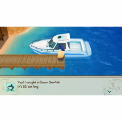 Marvelous STORY OF SEASONS: Friends of Mineral Town Standard Nintendo Switch - Vue supplémentaire 17