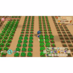 Marvelous STORY OF SEASONS: Friends of Mineral Town Standard Nintendo Switch - Vue supplémentaire 22