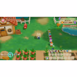 Marvelous STORY OF SEASONS: Friends of Mineral Town Standard Nintendo Switch - Vue supplémentaire 23