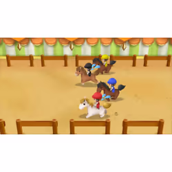 Marvelous STORY OF SEASONS: Friends of Mineral Town Standard Nintendo Switch - Vue supplémentaire 24