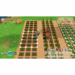 Marvelous STORY OF SEASONS: Friends of Mineral Town Standard Nintendo Switch - Vue supplémentaire 25