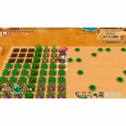 Marvelous STORY OF SEASONS: Friends of Mineral Town Standard Nintendo Switch - Vue supplémentaire 29