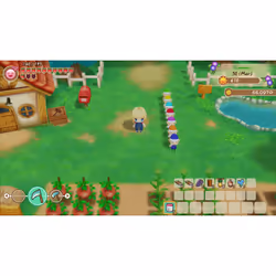 Marvelous STORY OF SEASONS: Friends of Mineral Town Standard Nintendo Switch - Vue supplémentaire 38