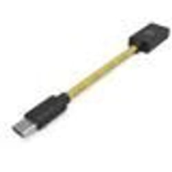 Rallonge adaptateur USB 3.0 - iFi Audio - Type A vers Type C - Transmission rapide - Connecteur mâle/femelle
