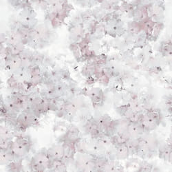 Papier peint - MURIVA - 211501 - Floral - Rose - 1005 m x 53 cm - Finition mate