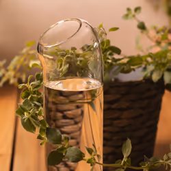 Thumbs Up 1002692 Arrosoir 0,5 L Transparent
