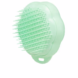 Pet Teezer Cat brosse de toilettage 1 u