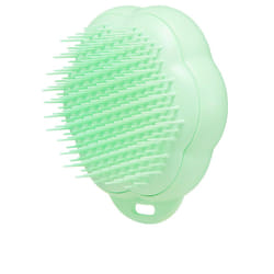 Pet Teezer Cat brosse de toilettage 1 u