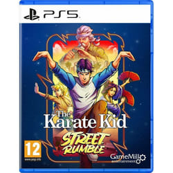 GameMill Entertainment The Karate Kid: Street Rumble Standard Allemand, Néerlandais, Anglais, Espagnol, Français, Italien, Portugais PlayStation 5