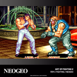 Blaze Entertainment Evercade - NEOGEO Arcade 2 - Vue supplémentaire 2