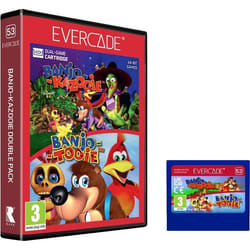 Double Pack Banjo-Kazooie - Jeu Evercade