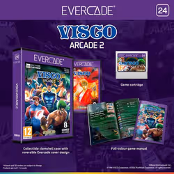 Evercade VISCO Arcade Collection 2 Standard - Vue supplémentaire 3