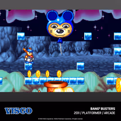 Evercade VISCO Arcade Collection 2 Standard - Vue supplémentaire 6