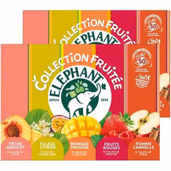 ELEPHANT - Lot de 2 Coffret Découverte Infusions Parfumées - 2 x 50 sachets