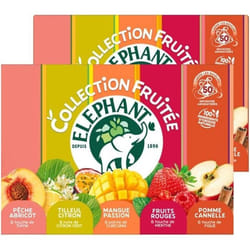 ELEPHANT - Lot de 2 Coffret Découverte Infusions Parfumées - 2 x 50 sachets