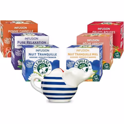 Éléphant Routine Bien-être & Fruités + 1 théière Eléphant offerte Lot de 6 x 20 sachets 120 Sachets