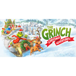 Nintendo The Grinch: Christmas Adventures Standard Nintendo Switch