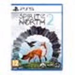 Jeu vidéo Aventure - Silver Lining - Spirit of the North 2 - PS5 - PEGI 12 - En boîte