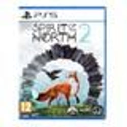 Jeu vidéo Aventure - Silver Lining - Spirit of the North 2 - PS5 - PEGI 12 - En boîte