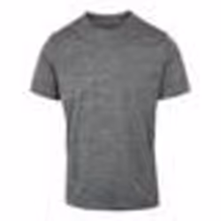 Tee shirt trekking - REGATTA - Fingal edition - Manches courtes - 100% Polyester - Gris