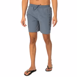 Maillot De Bain Premium Embroidered 17´´ Gris
