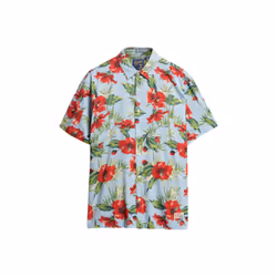 Chemise Hawaiian Coton Multicolore