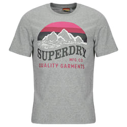 T-Shirt Cl Great Outdoors Relaxed Coton Gris