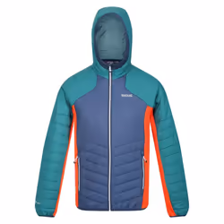 Regatta - Veste softshell TRUTTON - Homme (Bleu marine clair / Sarcelle)