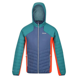 Regatta - Veste softshell TRUTTON - Homme (Bleu marine clair / Sarcelle)