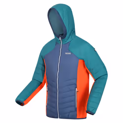 Regatta - Veste softshell TRUTTON - Homme (Bleu marine clair / Sarcelle)