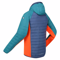 Regatta - Veste softshell TRUTTON - Homme (Bleu marine clair / Sarcelle)