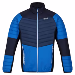 Regatta - Veste softshell HALTON - Homme (Bleu marine clair / Bleu foncé)