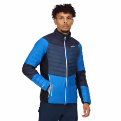 Regatta - Veste softshell HALTON - Homme (Bleu marine clair / Bleu foncé)