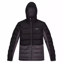 Regatta - Veste matelassée NEVADO - Homme (Noir / Gris foncé)