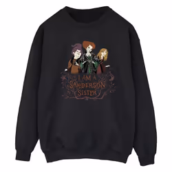 Disney - Sweat HOCUS POCUS SANDERSON SISTER - Homme (Noir)