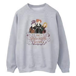 Disney - Sweat HOCUS POCUS SANDERSON SISTER - Homme (Gris chiné)