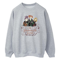 Disney - Sweat HOCUS POCUS SANDERSON SISTER - Homme (Gris chiné)