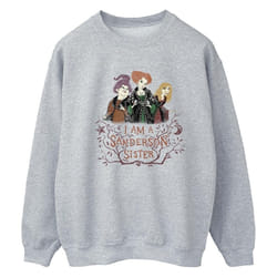 Disney - Sweat HOCUS POCUS SANDERSON SISTER - Femme (Gris chiné)