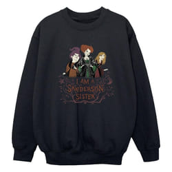 Disney - Sweat HOCUS POCUS SANDERSON SISTER - Garçon (Noir)