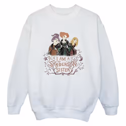 Disney - Sweat HOCUS POCUS SANDERSON SISTER - Garçon (Blanc)