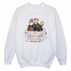 Disney - Sweat HOCUS POCUS SANDERSON SISTER - Garçon (Blanc)