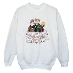 Disney - Sweat HOCUS POCUS SANDERSON SISTER - Garçon (Blanc)