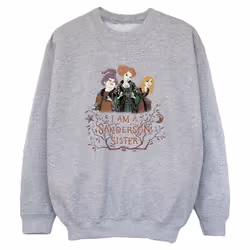 Disney - Sweat HOCUS POCUS SANDERSON SISTER - Garçon (Gris chiné)
