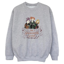 Disney - Sweat HOCUS POCUS SANDERSON SISTER - Garçon (Gris chiné)