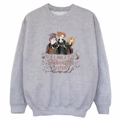 Disney - Sweat HOCUS POCUS SANDERSON SISTER - Garçon (Gris chiné)